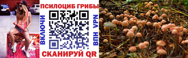 Купить где  Валуйки  Галлюциногенные грибы мицелий 